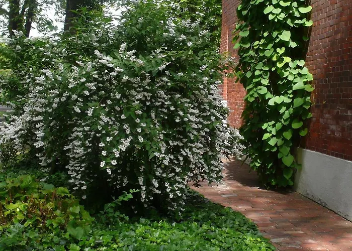 Pension Villa Fortuna